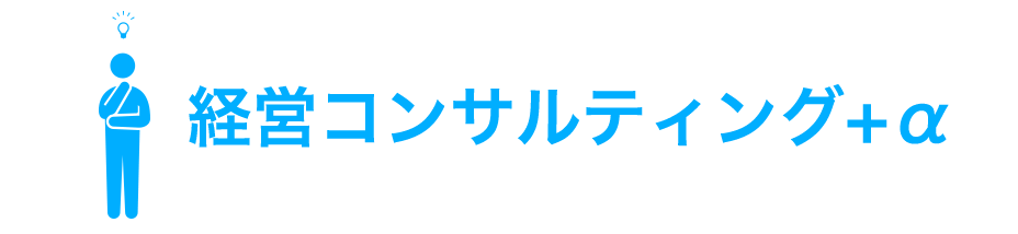 経営コンサルティング+α